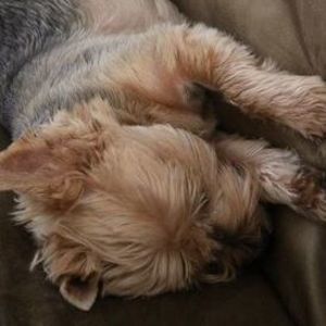 Meet your Posher, Laura